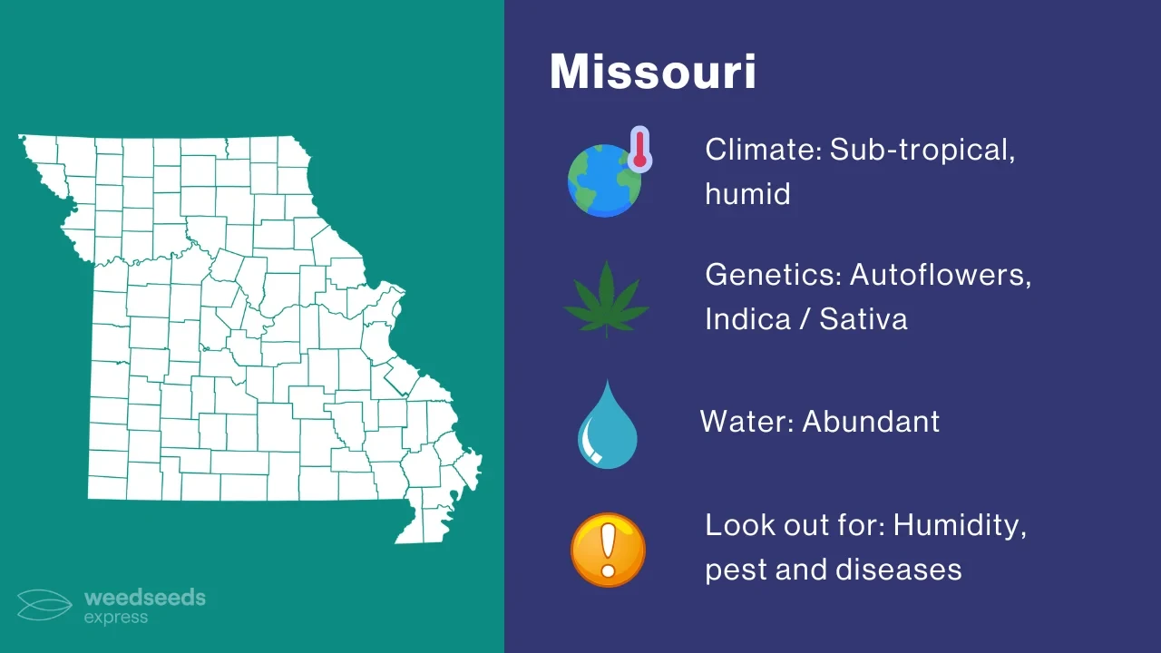 Cannabis Growing Climate in Missouri